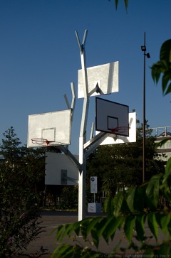 Playgrounds Outdoor - L'arbre à Basket