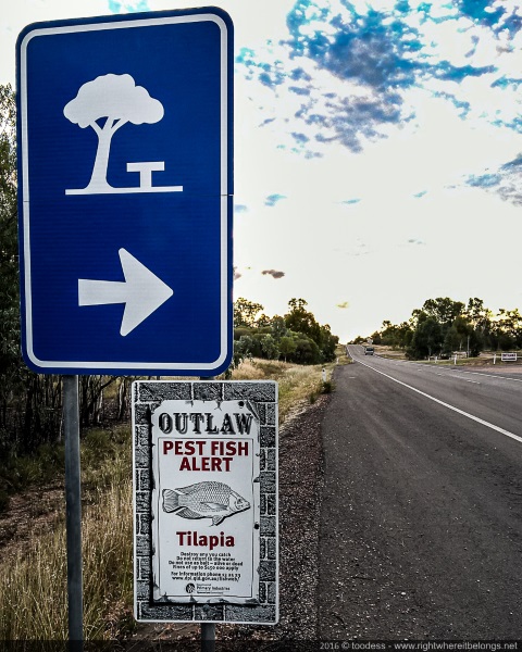 Outlaw - Australia
