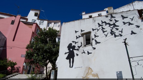 Libera Aves - Lisboa