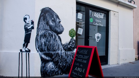 Gorille, par A-MO - Nantes