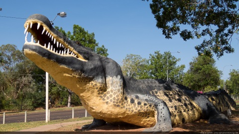 Wyndham's crocodile, Wyndham, Kimberley, Western Australia, Australia