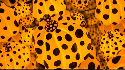 Yayoi Kusama - The spirits of the pumpkins descended into the heavens