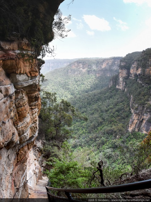 Wentworth Falls stairs view