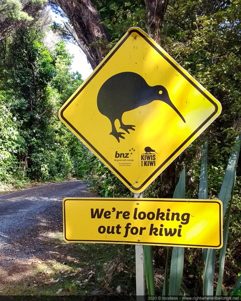 Kiwi road sign