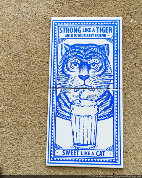Strong like a tiger - Sweet like a cat