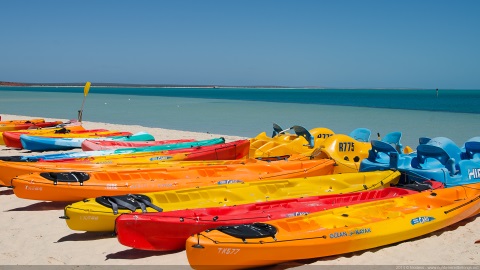 Sea Kayaks