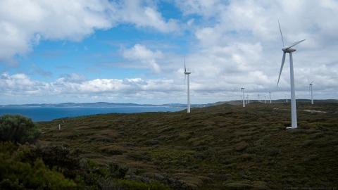 Albany windfarm